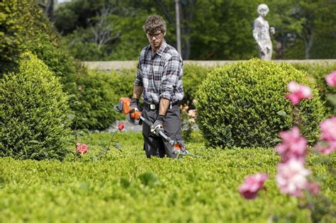 10 Migliori Giardinieri a Asti 